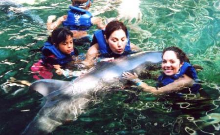 delfines-nado-xcaret-jul-2002.jpg